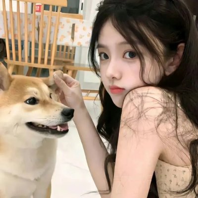 菜鸟新编剧